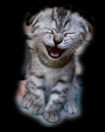 minou